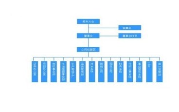 注册公司一定要有监事吗