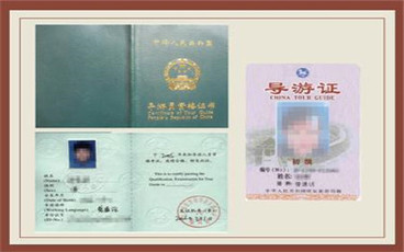 导游证在哪办理