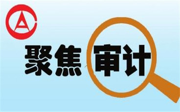 审计报告类型如何区分