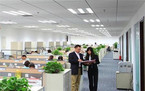 财务审计报告应当包括的要素