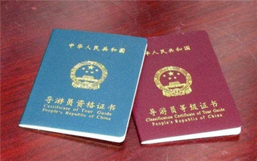 导游证报考的费用