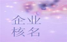 公司名称核准程序