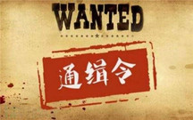 肇事逃逸会被网上通缉吗