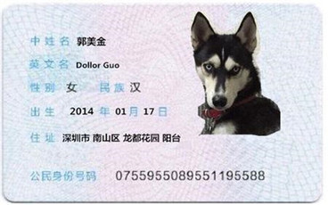 异地身份证怎么挂失