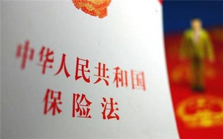 条文