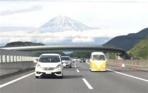 交通违法多久可以查到