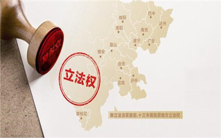 行使主体