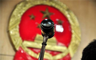 属什么法