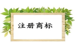 商标注册证有哪些法律效力