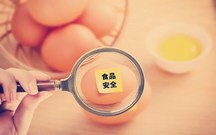食品安全协议书范本是怎样的
