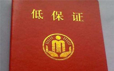智力残疾人低保申请书范文