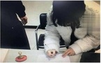醉驾拘役缓刑对子女的影响