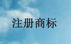 注册商标变更委托书范本