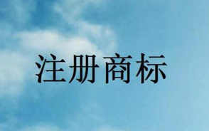 注册商标变更委托书范本