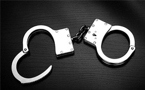 团伙网络诈骗判刑几年