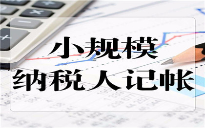 小规模纳税人与一般纳税人的不同