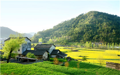 农村自建房是否可以出租,哪些房屋不能出租