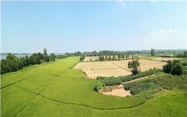 村里的土地承包合同能公证吗