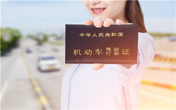 C5驾照能开什么车,C5驾照能开几种车?