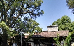 宅基地确权找哪个部门