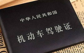 驾照