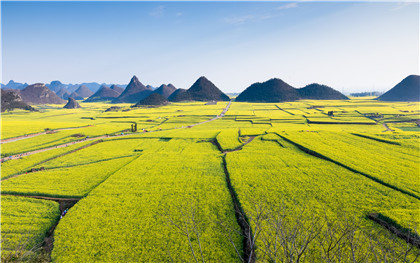 集体土地确权