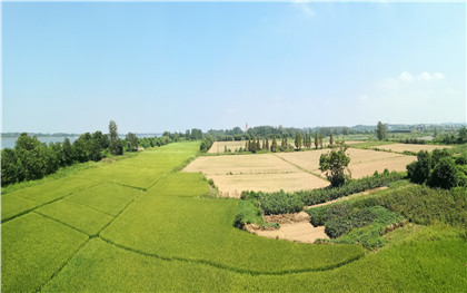 征地补偿程序