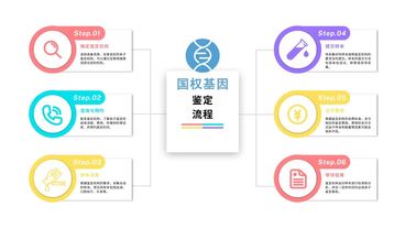 宁波亲子鉴定费用标准盘点（附2024年鉴定流程）