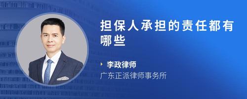 担保人承担的责任都有哪些