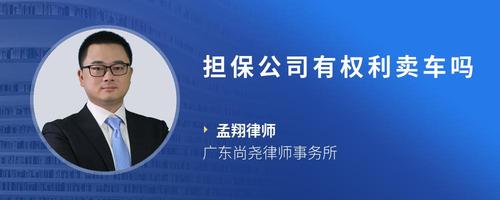 担保公司有权利卖车吗