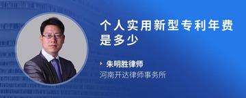 个人实用新型专利年费是多少