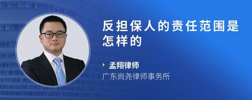 反担保人的责任范围是怎样的