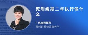 死刑缓期二年执行做什么