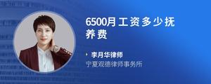 6500月工资多少抚养费?