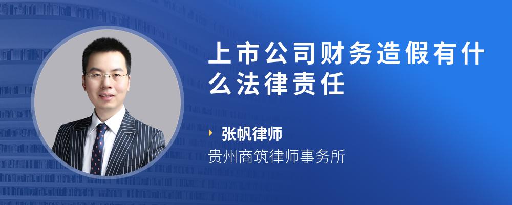 上市公司财务造假有什么法律责任