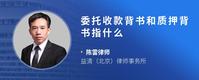 委托收款背书和质押背书指什么