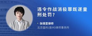 违令作战消极罪既遂量刑处罚??