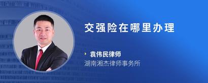 交强险在哪里办理