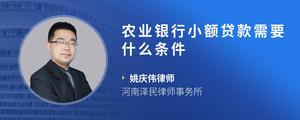 农业银行小额贷款需要什么条件