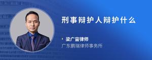 刑事辩护人辩护什么