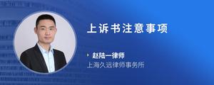 上诉书注意事项
