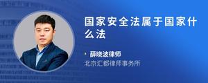 国家安全法属于国家什么法