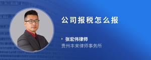 公司报税怎么报