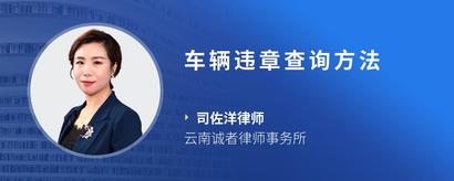 车辆违章查询方法