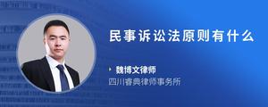 民事诉讼法原则有什么