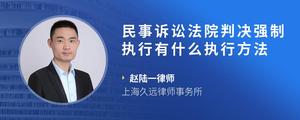 民事诉讼法院判决强制执行有什么执行方法