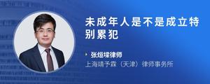 未成年人是不是成立特别累犯