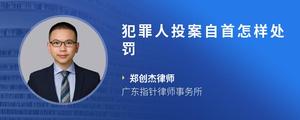 犯罪人投案自首怎样处罚