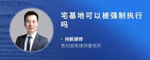 宅基地可以被强制执行吗