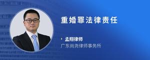 重婚罪法律责任
